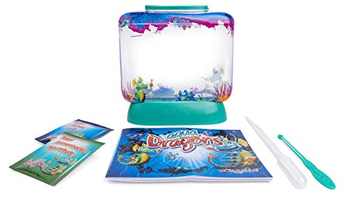 Aqua Dragons ID4001 World, Multicolor, 6 x 1.5 x 6 inches