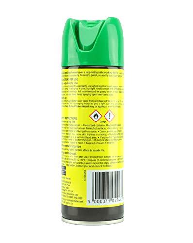 Baby Bio 84899143 Leaf Shine, 200ml - Ready To Use Houseplant Care - Aerosol Spray for a Natural Long Lasting and Healthy Shine - Removes Dust from
