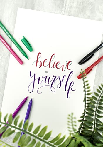 Eziglide Ballpoint Assorted Pen, Pack of 100 Ballpoint Pens, Smooth Writing Action-Medium Point 1.0mm Coloured Pens Multipack - Ball Point Pens Ideal