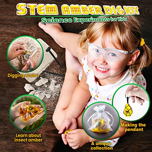 Amber Gemstone Dig Kit?Educational Science Kits for Kids Age 6 7 8 9 10?Crystals and Gemstones Gifts for 6+ year old girls boys