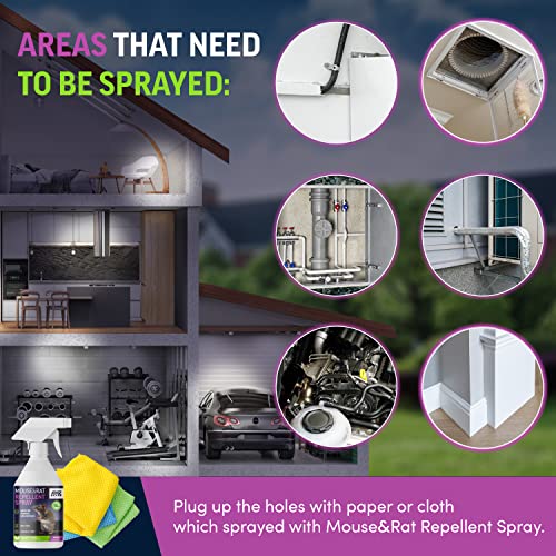 AMZ BRAND Premium Mouse Repellent Spray - Anti-Rat Peppermint Oil Spray for Indoor Use - 250ml - Natural Mint Extract with Pleasant Scent - Non Toxic