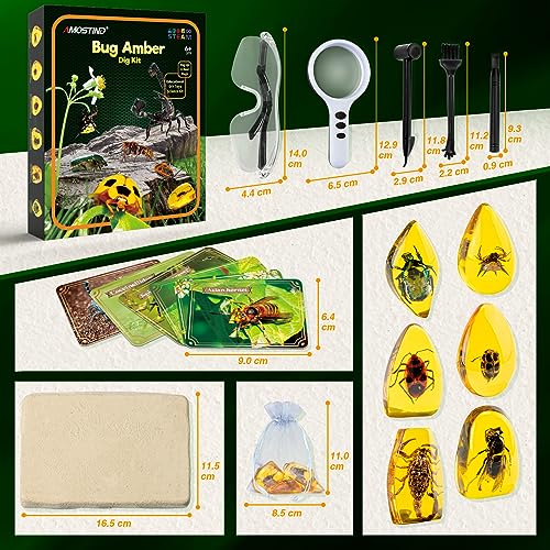 Amber Gemstone Dig Kit?Educational Science Kits for Kids Age 6 7 8 9 10?Crystals and Gemstones Gifts for 6+ year old girls boys