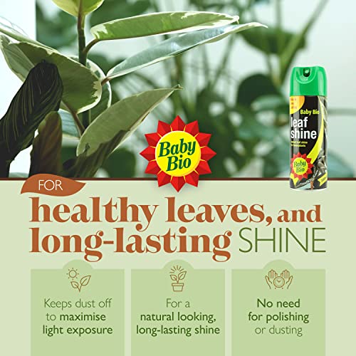 Baby Bio 84899143 Leaf Shine, 200ml - Ready To Use Houseplant Care - Aerosol Spray for a Natural Long Lasting and Healthy Shine - Removes Dust from