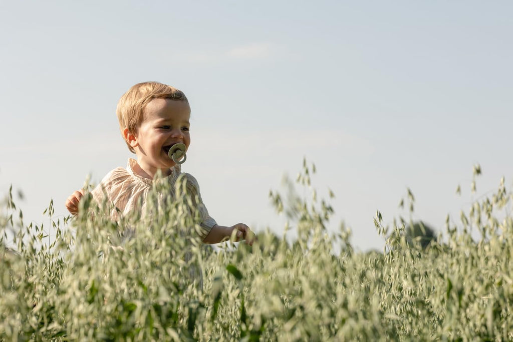 BIBS Colour Soother 2-Pack, BPA Free Dummy Pacifier, Round Nipple. Natural Rubber Latex, Size 3 (18+ Months), Vanilla/Dark Oak