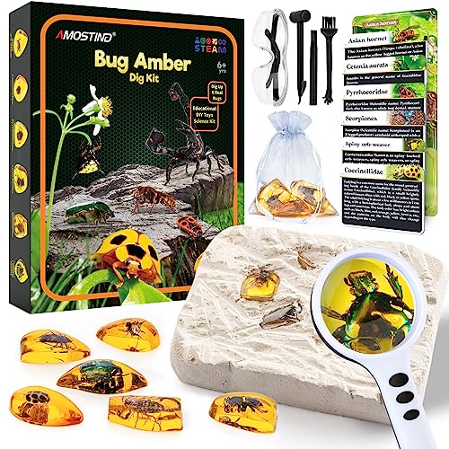 Amber Gemstone Dig Kit?Educational Science Kits for Kids Age 6 7 8 9 10?Crystals and Gemstones Gifts for 6+ year old girls boys
