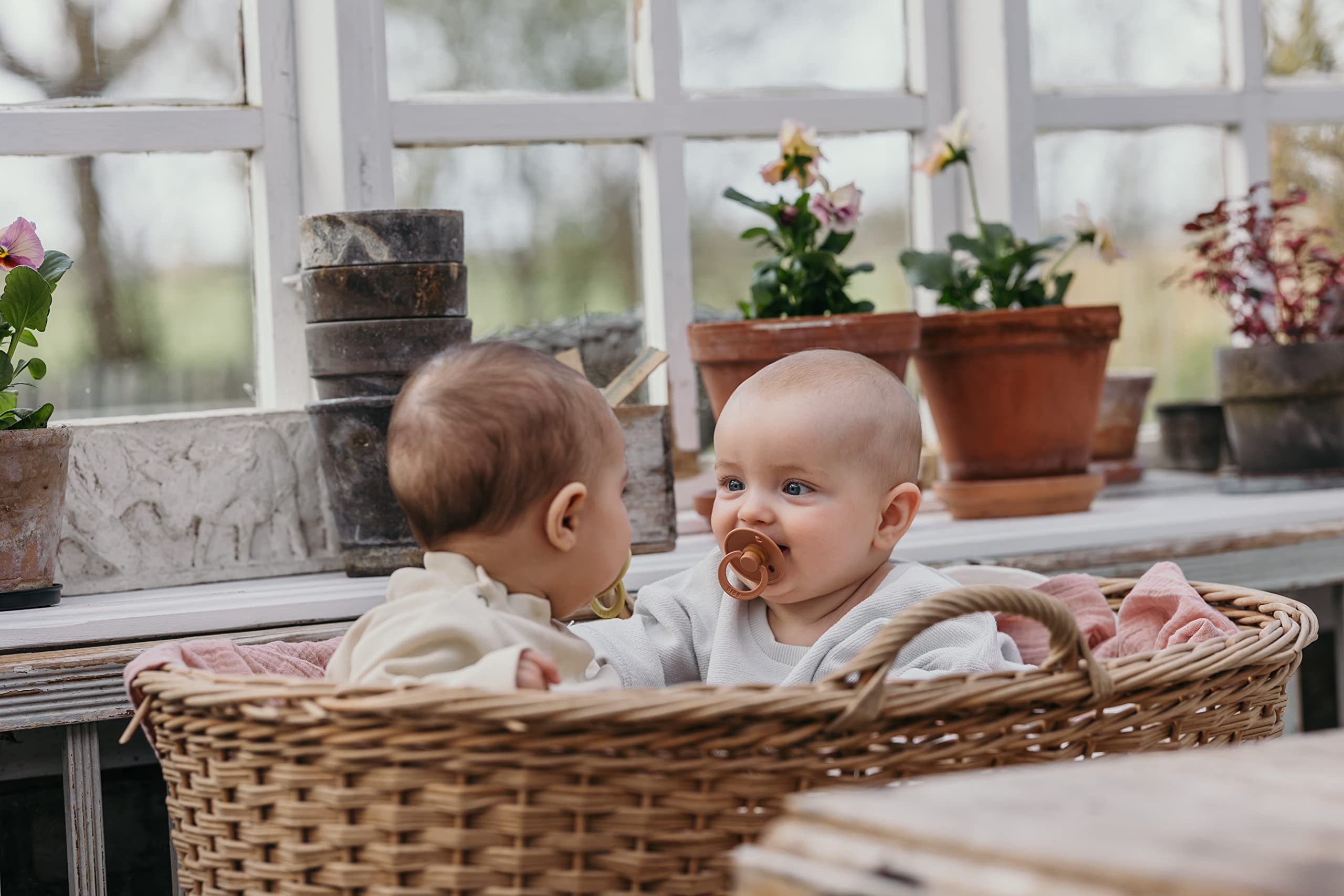 BIBS Colour Soother 2-Pack, BPA Free Dummy Pacifier, Round Nipple. Natural Rubber Latex, Made in Denmark, Size 1 (0-6 Months), Pine/Cornflower