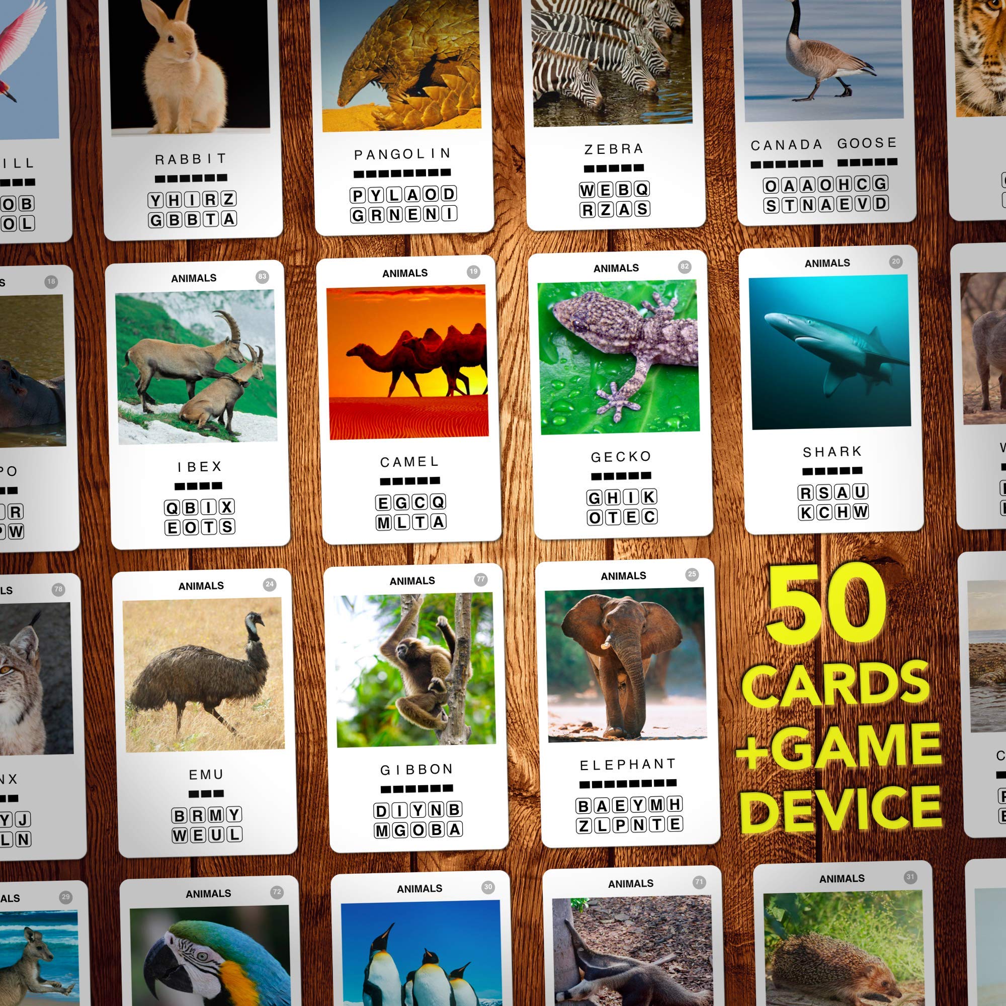 100 PICS Capital Cities Travel Game - Geography Flash Card Quiz, Pocket Puzzles For Kids And Adults